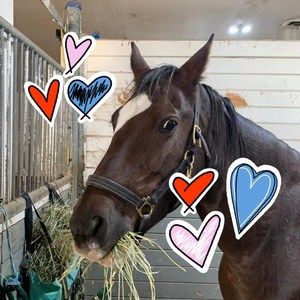 Meet your Posher, Karen